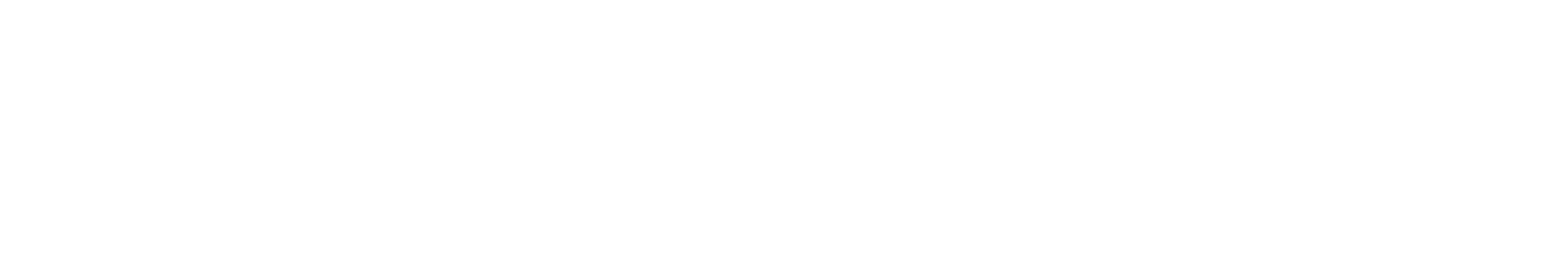 Raiola Networks
